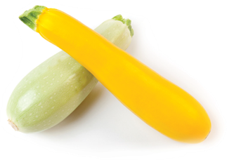 Summer squash.png